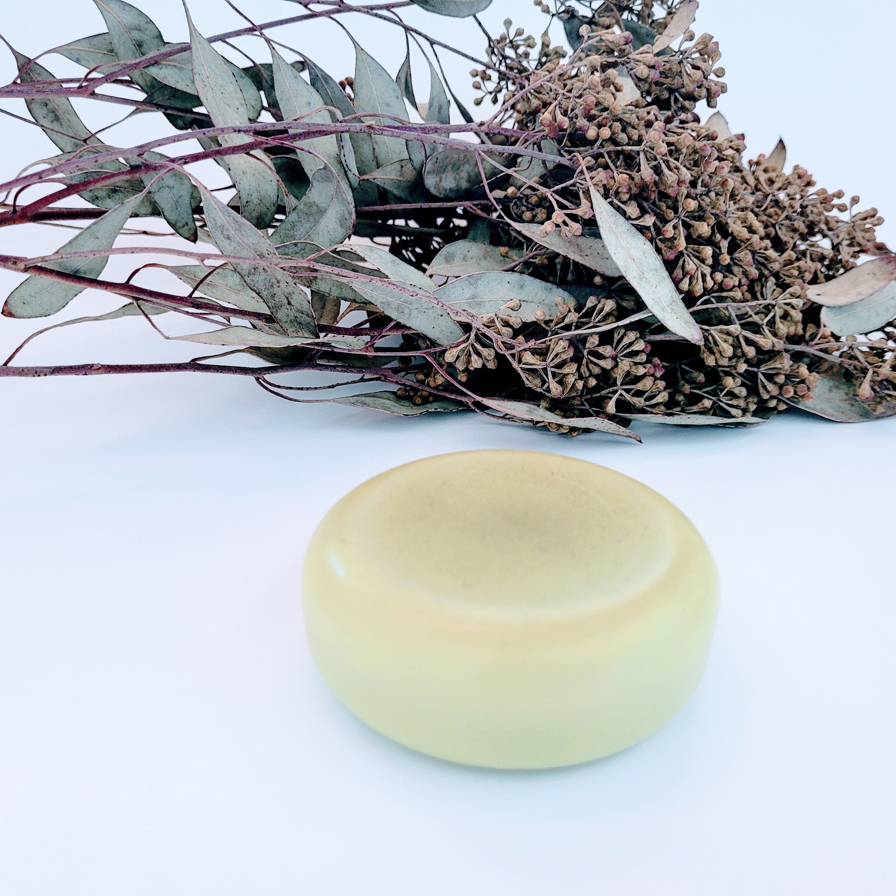 Eucalyptus Lotion Bar