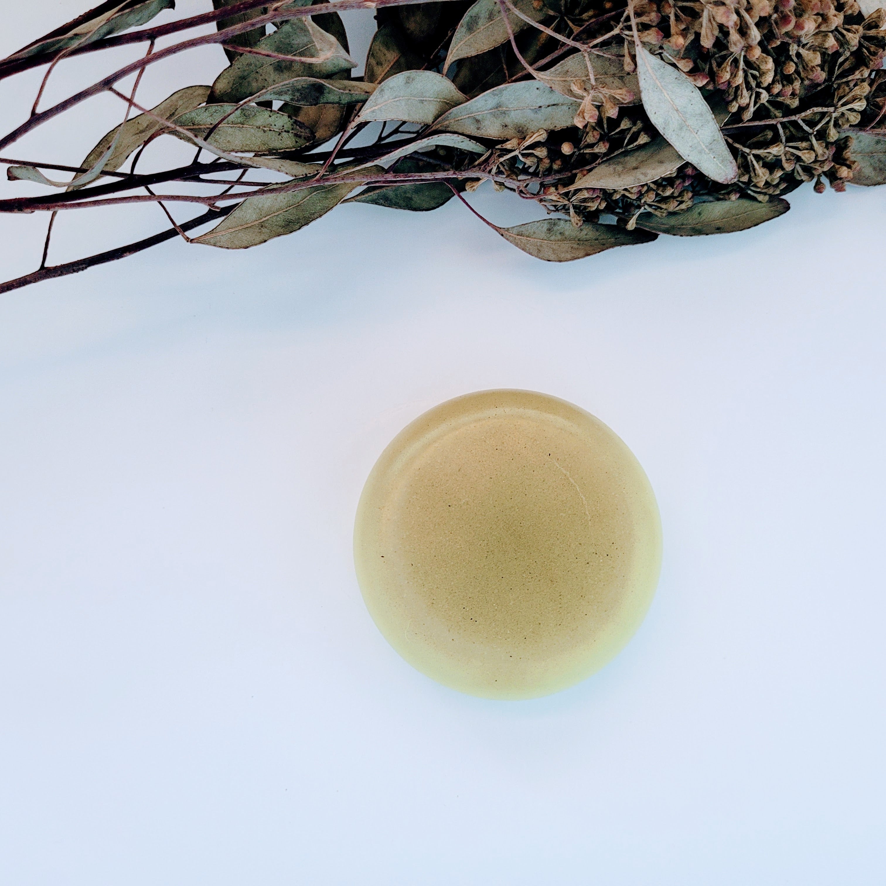 Eucalyptus Lotion Bar